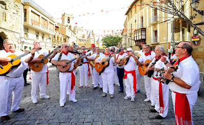 Resultado de imagen de fotos de guitarras de olite