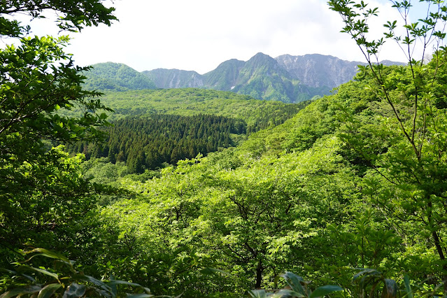 鳥取県西伯郡大山町豊房　香取の山道からの眺め　大山