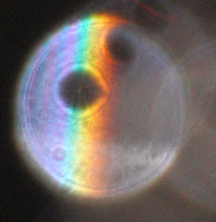 colorful orb stripes