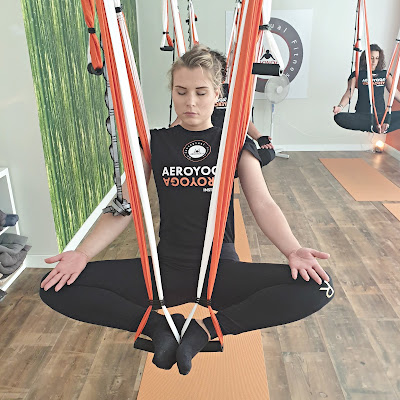 yoga aerien, aeroyoga, air yoga, stage, formation, formation yoga, enseignants, aeropilates, aerial pilates, aerial yoga, madrid, espagne, france, paris, aix en provence