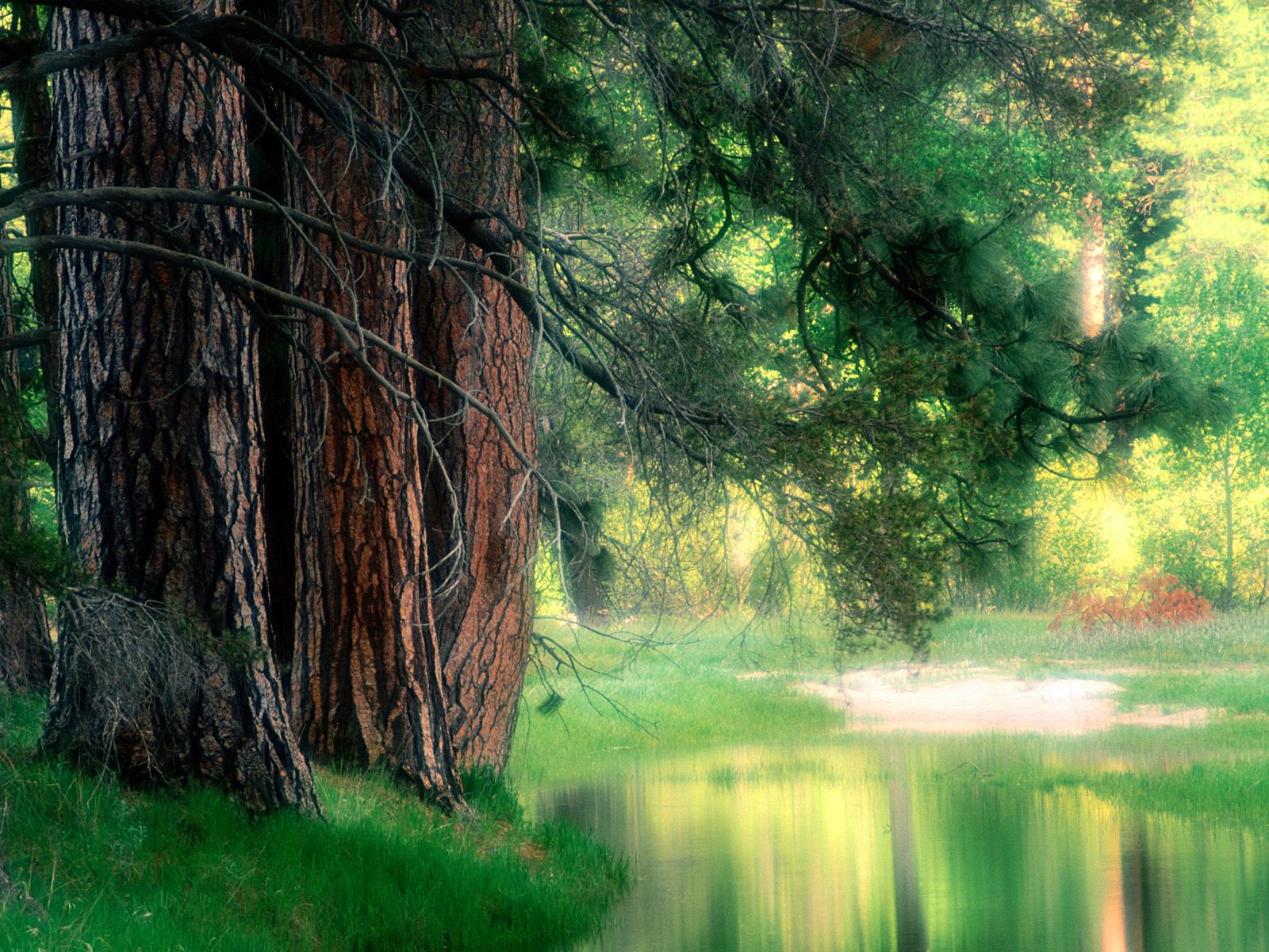 Wallpapers Unlimited: Yosemite National Park, California, USA