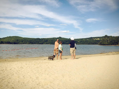 Eric le chien, Limousin, creuse, France, lac de vassiviere, 