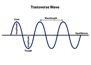 Transverse Wave