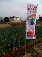 越谷市鴨ネギプロジェクト2008栽培体験収穫祭開催。