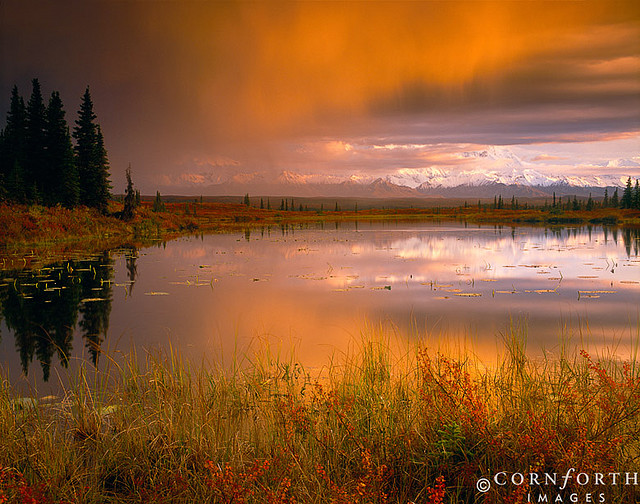 Stormy Tundra