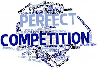 Perfect Compitition And Imperfect Compition‏