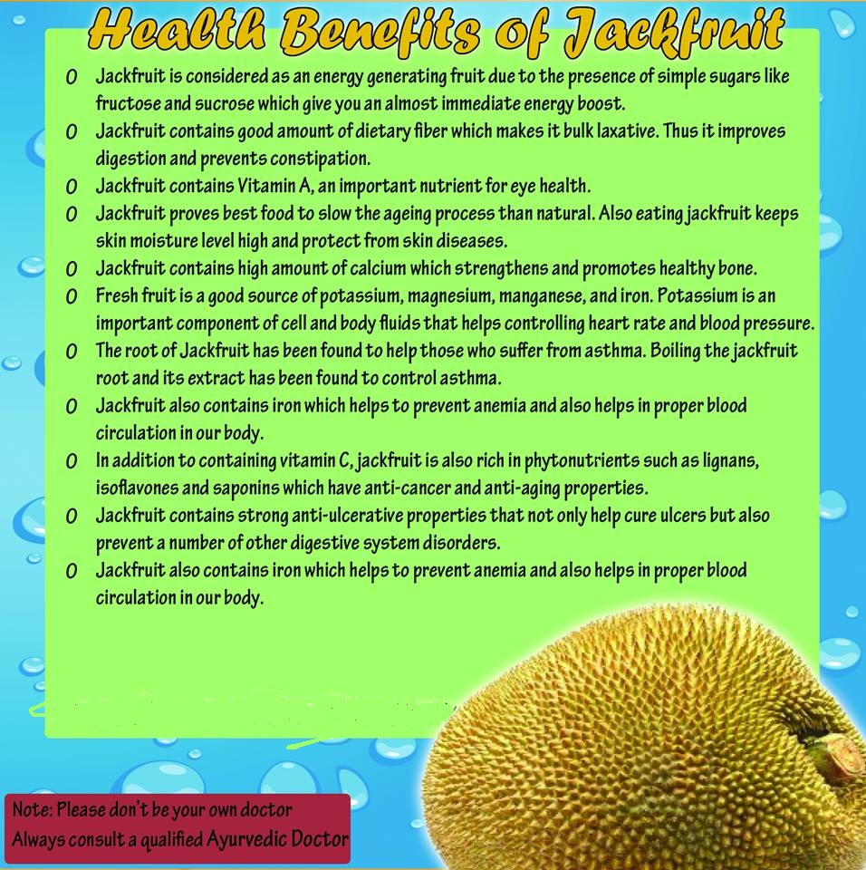 Uses Benefits Of Ayurvedic Ayurvedic Benefit Of Jack Fruit pertaining to Health Benefits Of Jackfruit