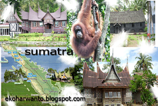 Visiter Sumatra