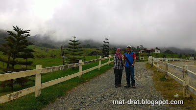 Desa Cattle Dairy Farm Kundasang