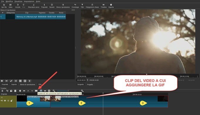 clip-del-video-a-cui-aggiungere-la-gif