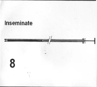 B8. Phối.