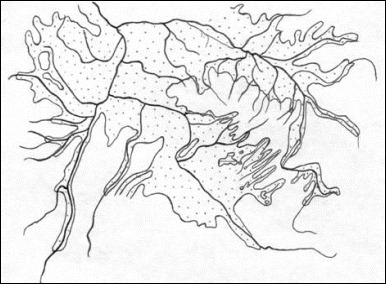 clip_image002