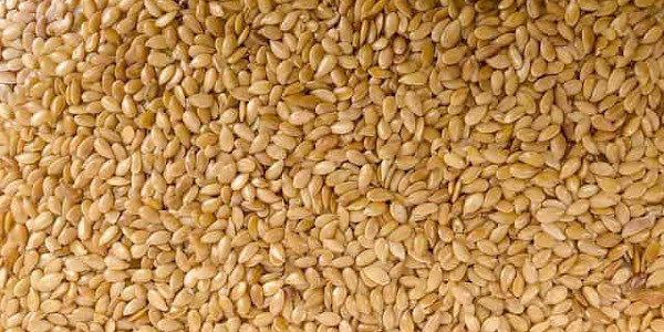 Sesame is Useful For the Health - Health-Teachers