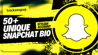 50+Snapchat Vip Bio (Make Snapchat Stylish Account)