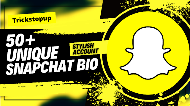 50+ Unique Snapchat Vip Bio (Make Snapchat Stylish Account)