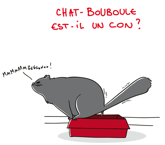 Petit Precis De Grumeautique Blog Illustre Serenade En Caca Majeur