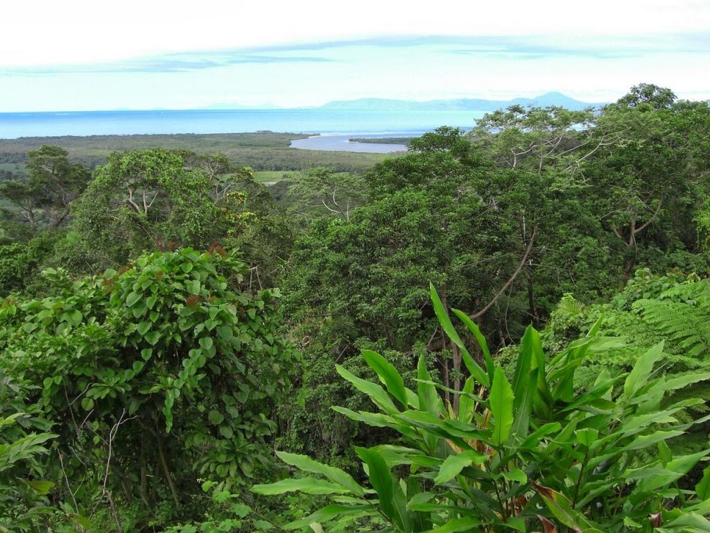 مدونة العالم العجيب 10 غابات الأكثر جمالا في العالم