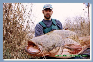 The Giant Cat Fish images gallery