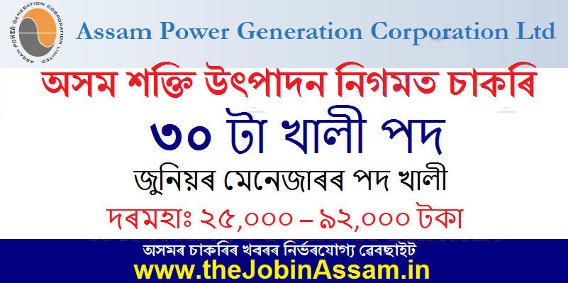 Assam Power Generation Corporation Limited (APGCL)