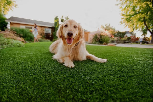 Is-artificial-grass-really-the-best-choice-for-a-garden
