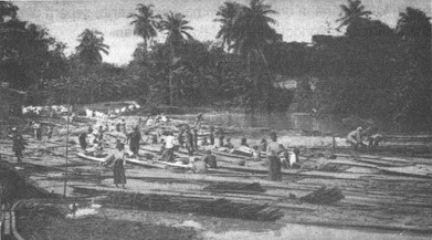 Perdagangan kayu dan bambu di Kali Angke pada awal abad XX