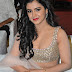 Malvika Sharma Hot Cleavage Pics At Nela Ticket Audio Launch