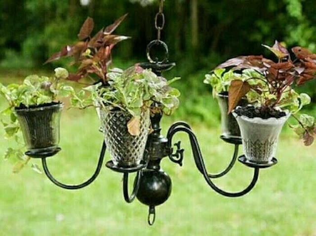 Desain pot bunga unik lampu