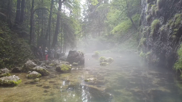 Izbucul Tauzului, Apuseni