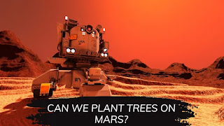 Can we Plant trees on Mars