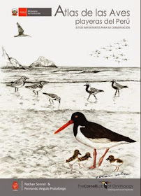 http://www.minam.gob.pe/diversidadbiologica/wp-content/uploads/sites/21/2014/02/Atlas-de-las-Aves-Playeras-del-Perú-FINAL-WEB.compressed.pdf