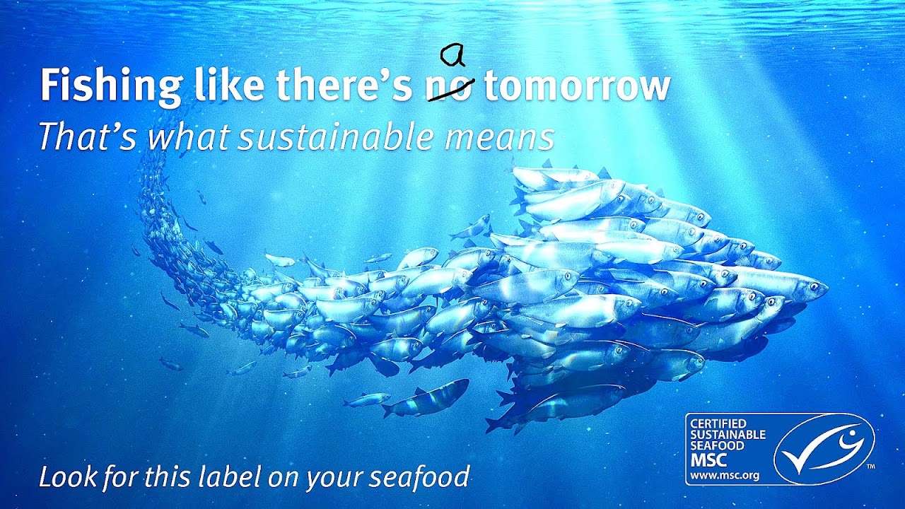 Marine Stewardship Council