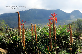 Garden Route Botanical Garden