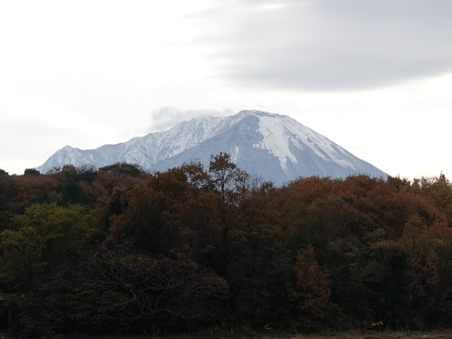 淀江町から見た大山