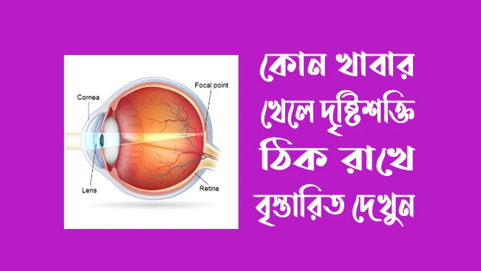 কোন খাবার খেলে চোখের দৃষ্টিশক্তি ঠিক রাখে বৃস্তারিত দেখুন