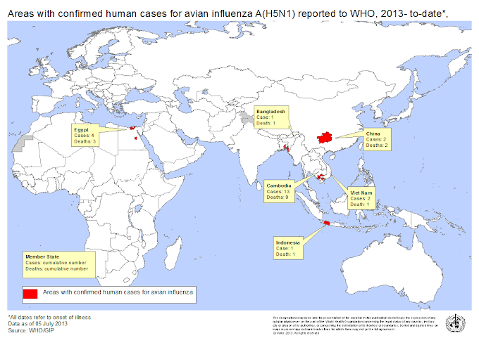 Número e distribuição geográfica dos casos de Influenza A ( aviária H5N1 )