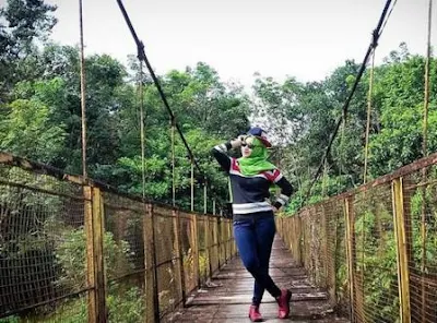 34 TEMPAT WISATA DI KABUPATEN MELAWI KALIMANTAN BARAT TERLENGKAP INSTAGRAMBLE COCOK DIKUNJUNGI BERSAMA