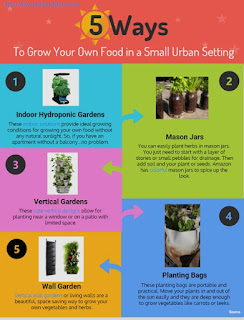 Five Ways to Grow Your Own Food in an Small Urban Setting