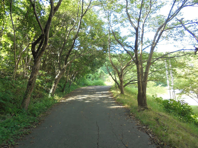 淀江運動公園グランドの横の道を登ってみます