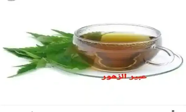 فوائد  الشاي الاخضر