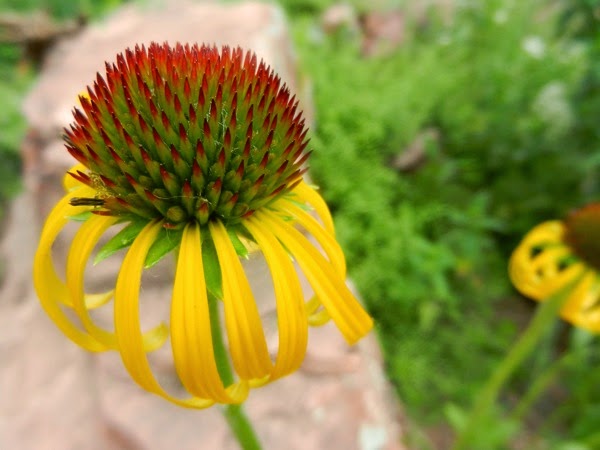 DSCN3824