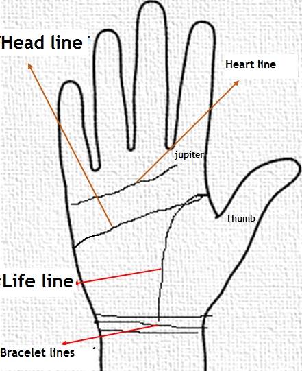 കൈത്തണ്ടയിൽ ഈ രേഖയുണ്ടോ? | Bracelet Llines | Palmistry | ജ്യോതിഷം |  Manorama | Astrology