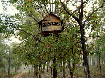 Tree House Image