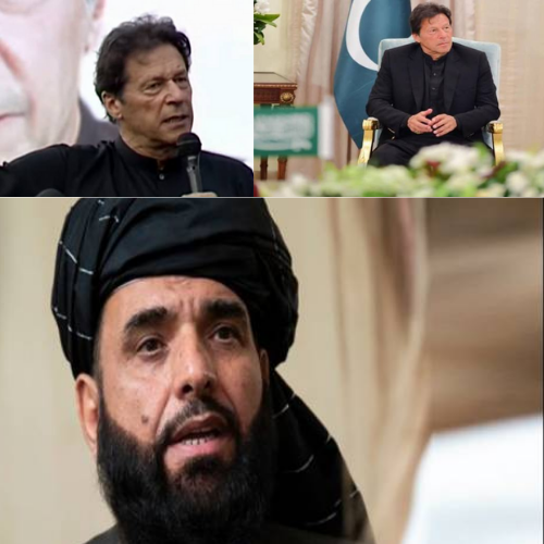 Imran Khan Best News 2021Imran Khan Ladla