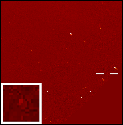 GIF Animado del cometa nº 1.500 del SOHO