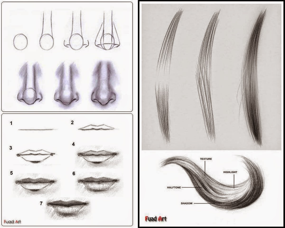 Kumpulan Cara Menggambar Sketsa Hidung Dan Bibir Aliransket