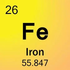 iron in the human body. Vital Element Stats. Name: Iron; Symbol: Fe; Weight: 55.847; Family: Transition Metals; Group: 26; Period: 3023. Composition. Electrons: 26; Protons: 26 ...