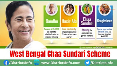 West Bengal Chaa Sundari Scheme