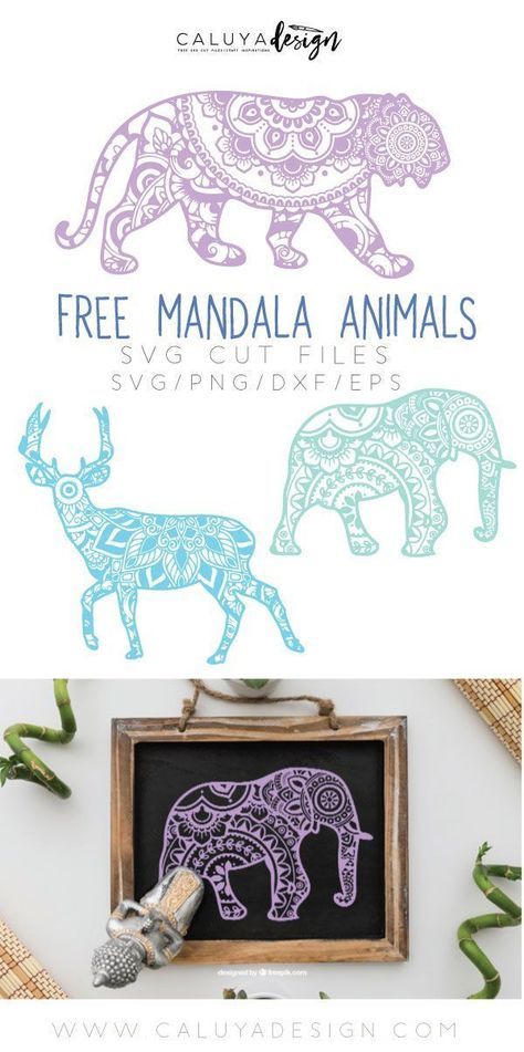 Download Where To Find Free Mandala Zentangle Svgs