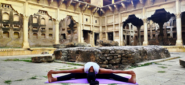 Priyanka Goyal - The Virstarita Pada Bhnamanasana