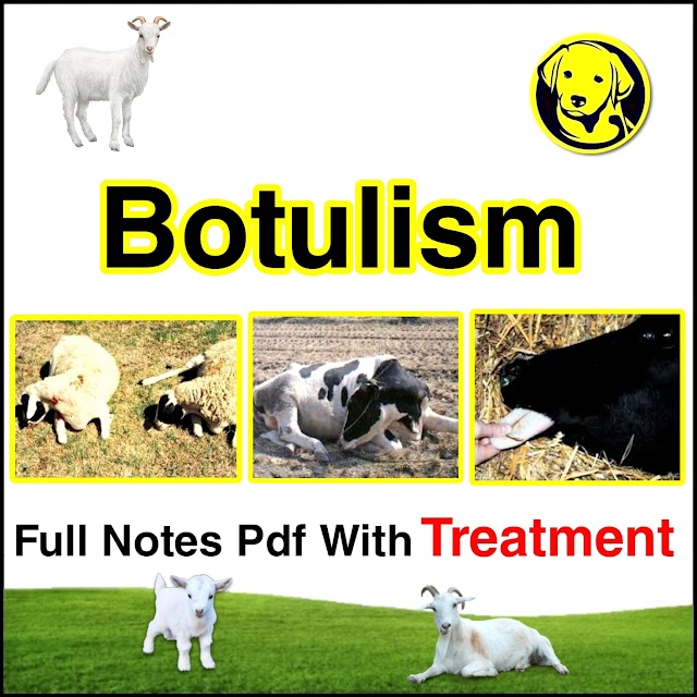 Free Download Botulism Disease Full Pdf